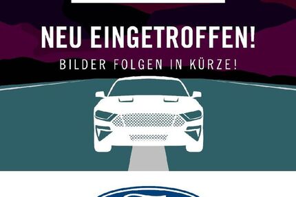 Ford Mustang 60.000 km 33.980 &euro; Karlsruhe 76185