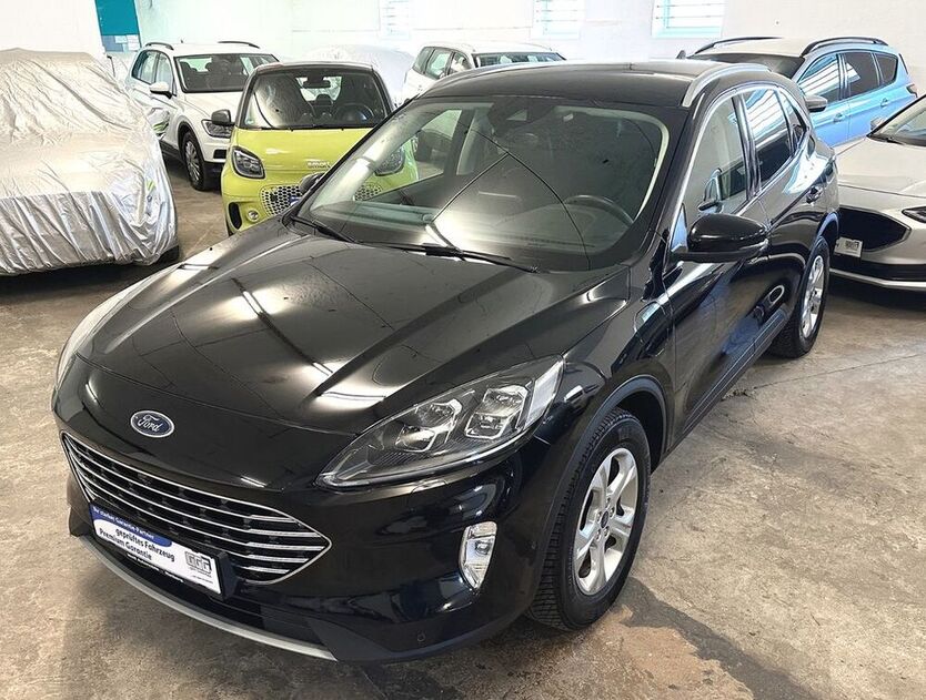 Kuga