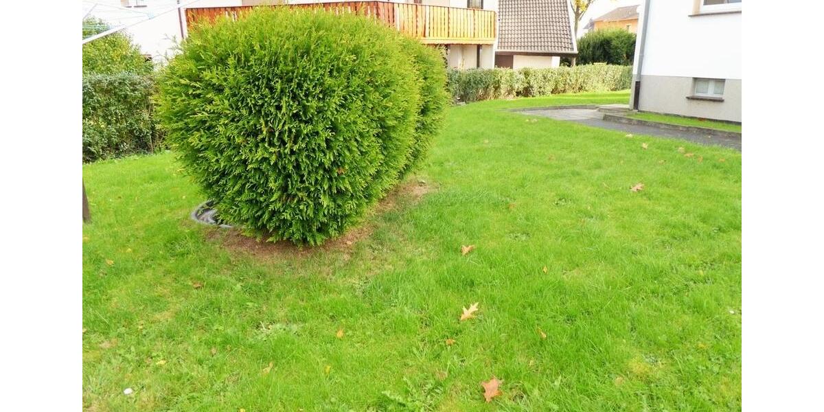 Etagenwohnung Vellmar - 3 Zimmer, 64 m&sup2;, 540&euro; | Angebot:25374772