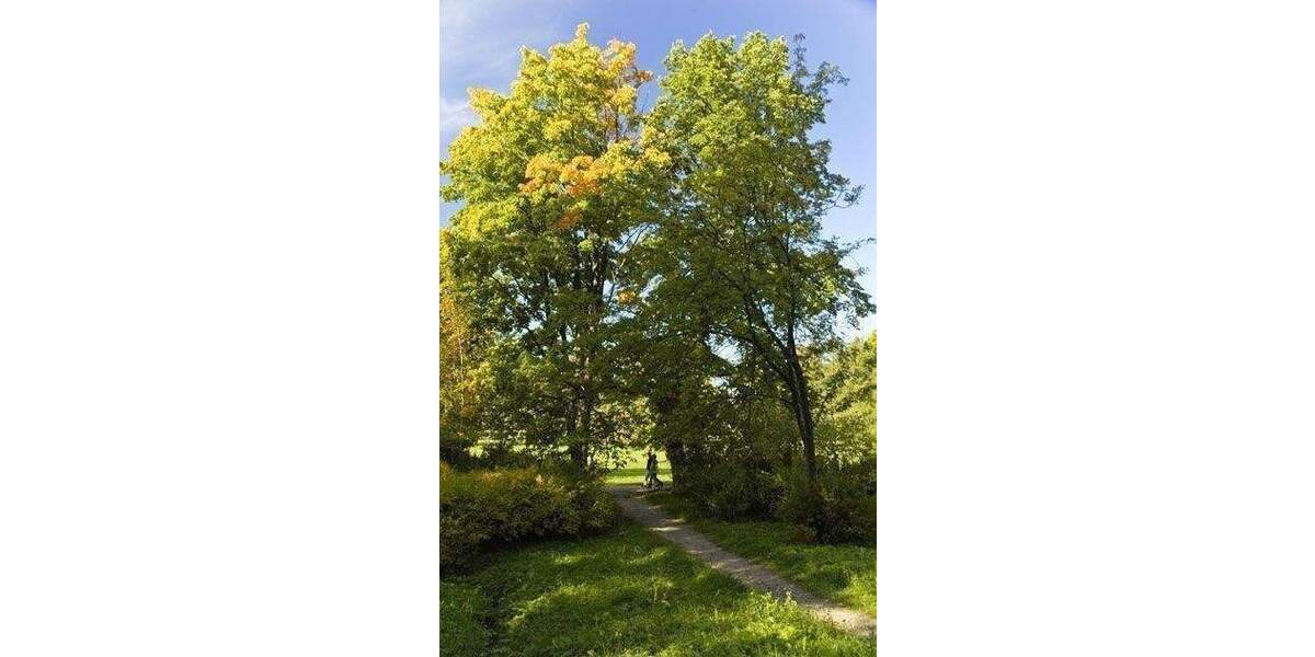 Reihenmittelhaus Nürnberg Lohhof - 5 Zimmer, 121 m&sup2;, 690.000&euro; | Angebot:25425789