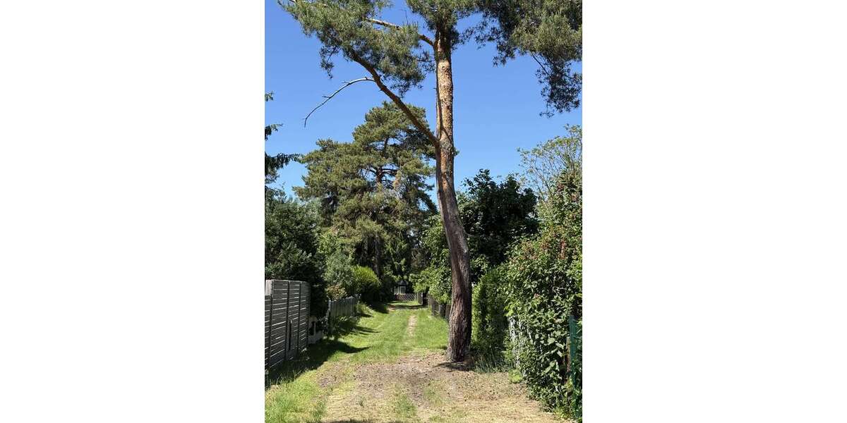 Grundstück Marienwerder - 50.000&euro; | Angebot:26765350