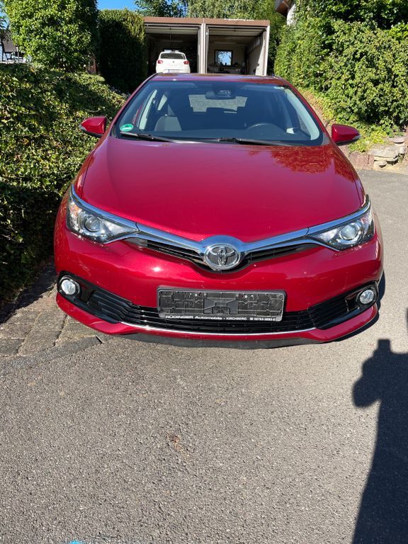 Auris