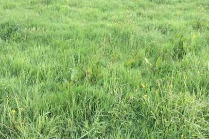 Wohnbauareale mit großem Potenzial - ca. 80.000 m² BGF, direkt vom Eigentümer zimmer