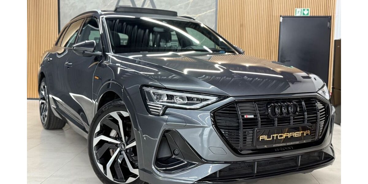 Audi e-tron 90.500 km 36.500 € Salzgitter 38259