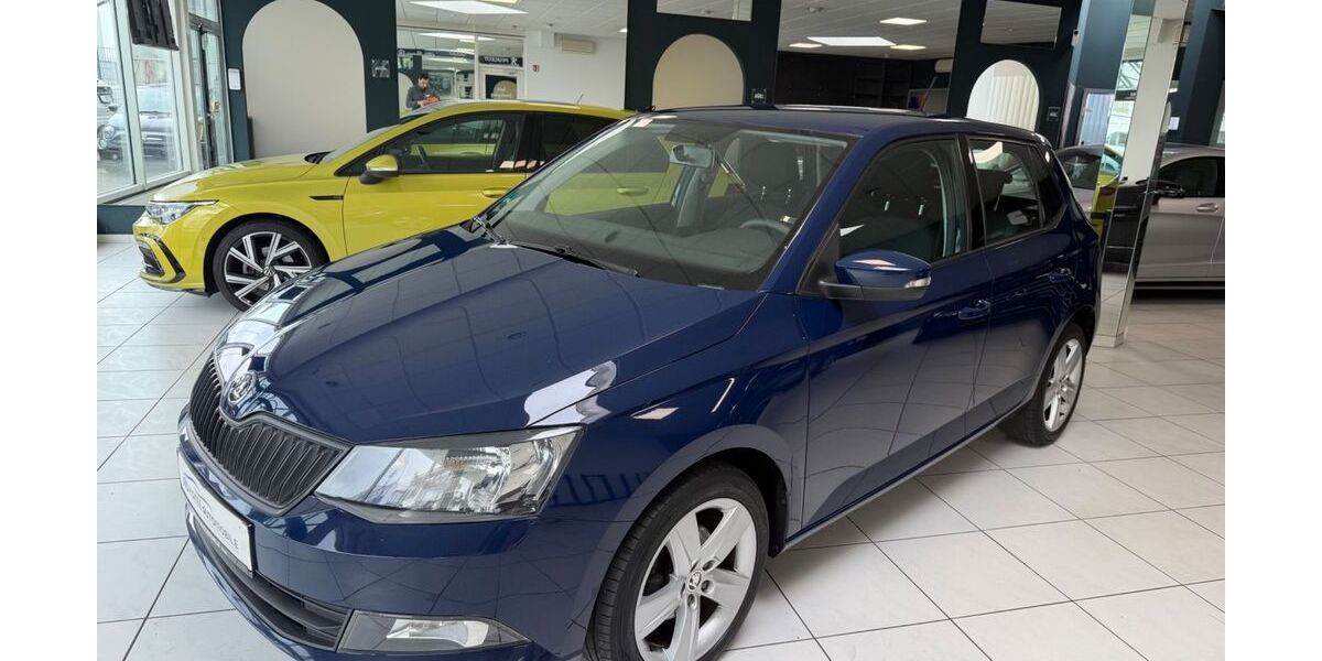 Skoda Fabia 122.600 km 8.489 &euro; Pforzheim 75179