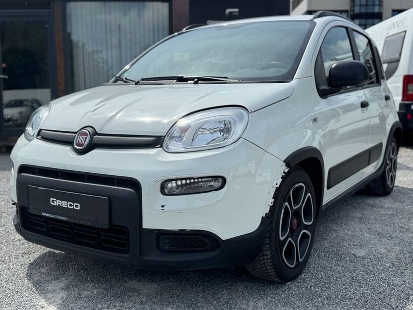 Panda