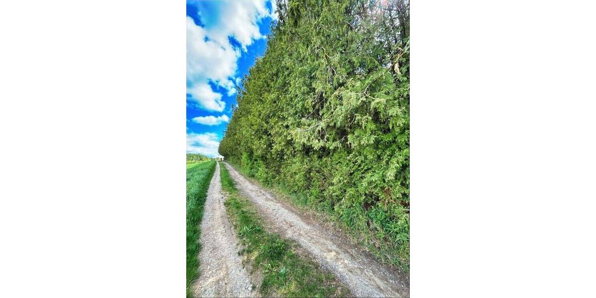Grundstück Weil der Stadt - 42.000&euro; | Angebot:26869411