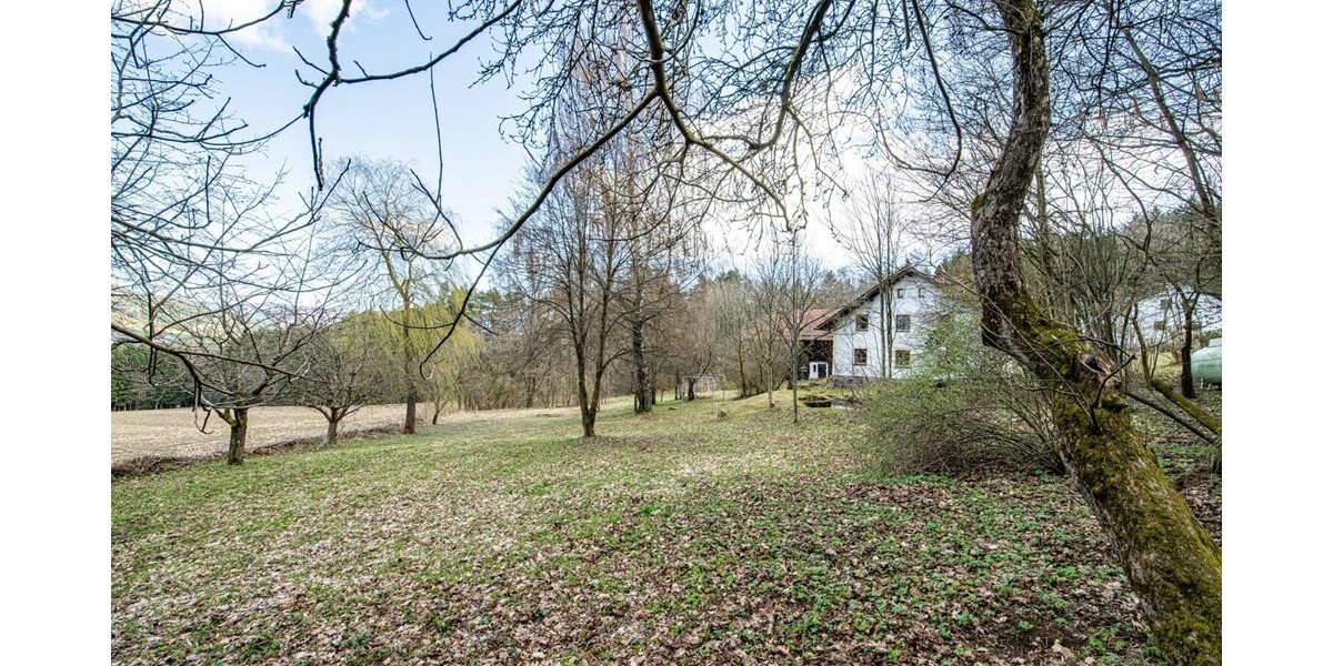 „Idyllisches Bauernhaus mit Teich & eigener Quelle – Ruhe, Natur und Geschichte vereint“ - Bauernhaus, Landhaus Weiding | Angebot:26041922
