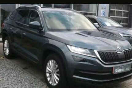 Skoda Kodiaq 185.000 km 18.000 &euro; Bad Zwischenahn 26160