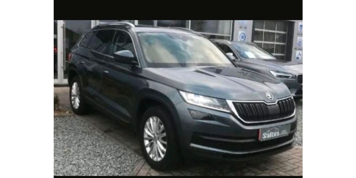 Skoda Kodiaq 185.000 km 18.000 &euro; Bad Zwischenahn 26160