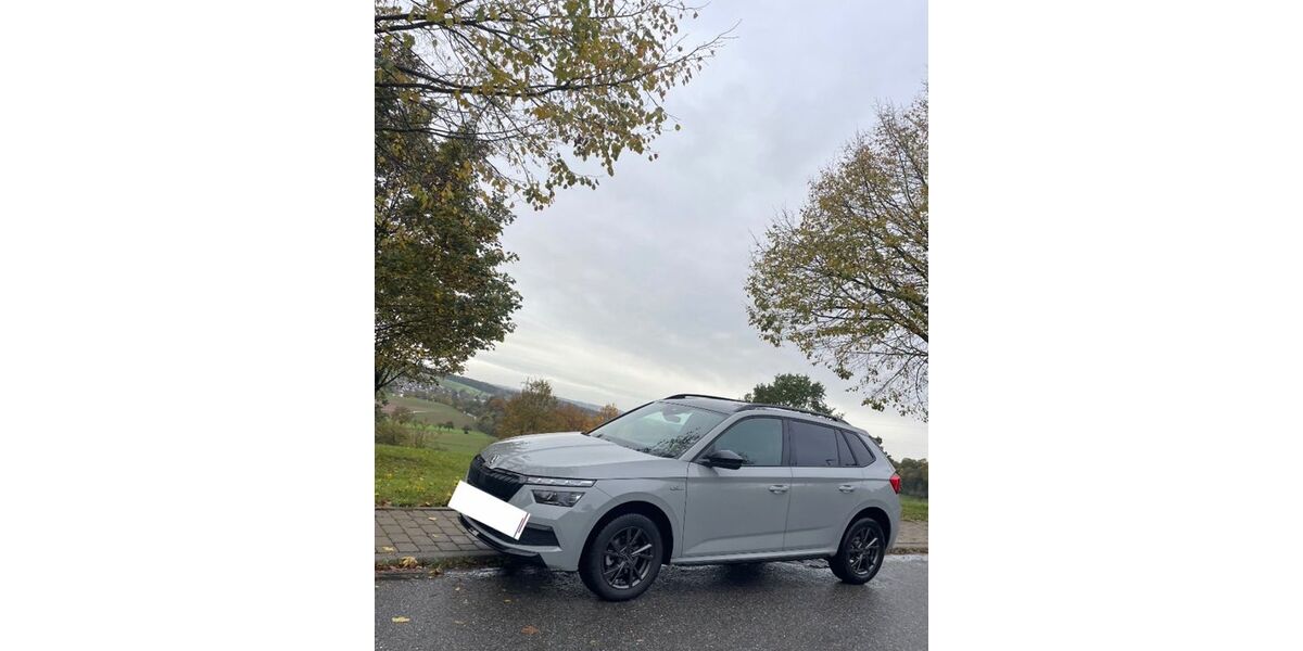 Skoda Kamiq 54.000 km 21.100 &euro; Obrigheim 74847