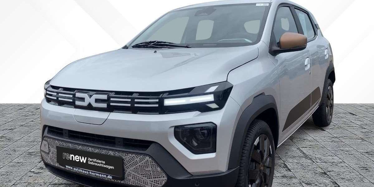 Dacia Spring 5.894 km 16.991 € Northeim 37154