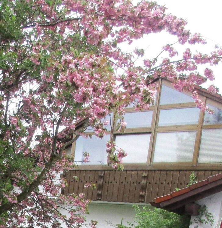 Gemütliche 4 Zimmer Dachgeschoss Wohg. In HaldenwangAllgäu provisionsfrei zu verkaufen