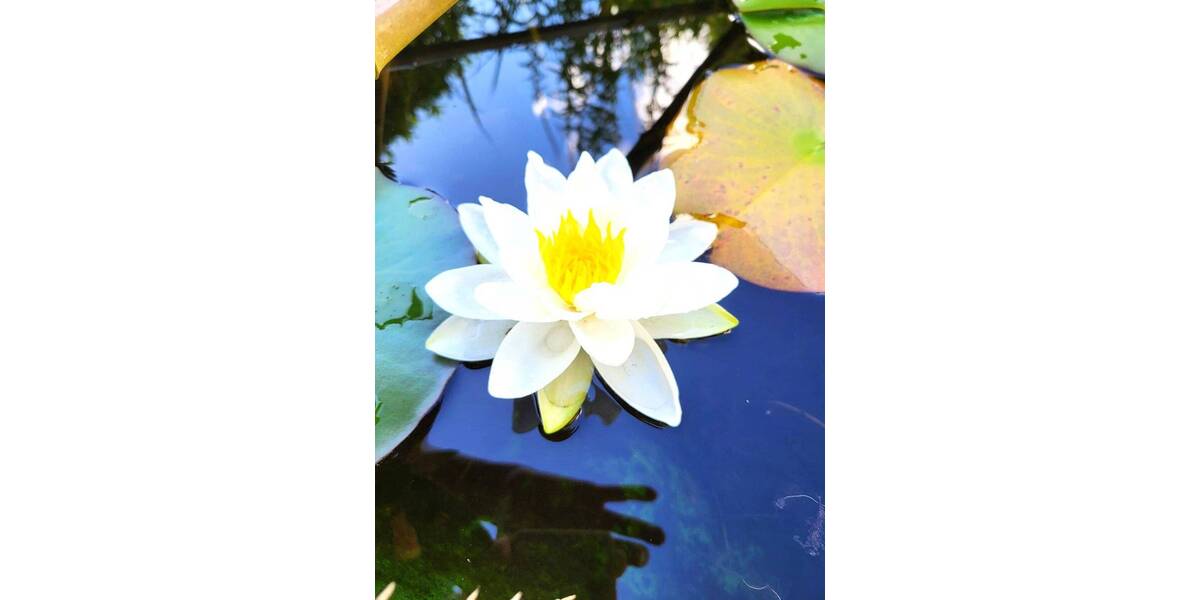 Mehrfamilienhaus, Wohnhaus Remchingen Singen - 8 Zimmer, 184 m&sup2;, 595.000&euro; | Angebot:23970592