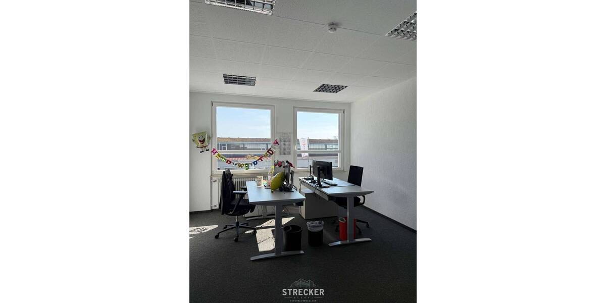 Gewerbeobjekt Renchen Stadtgebiet - 2.900.000&euro; | Angebot:26733519