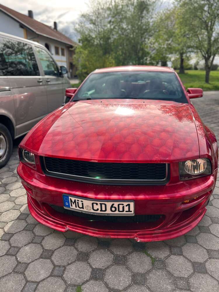 Mustang