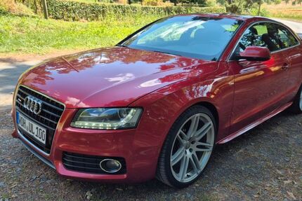 Audi A5 250.000 km 8.999 &euro; Bad Emstal 34308