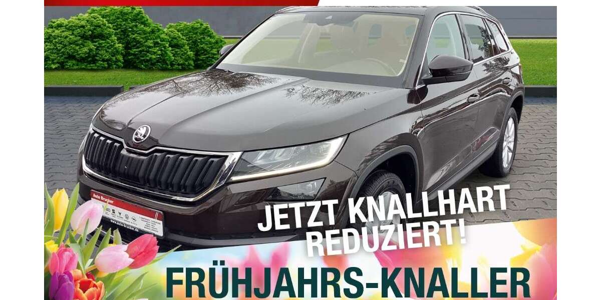 Skoda Kodiaq 137.138 km 19.870 &euro; Meiningen 98617