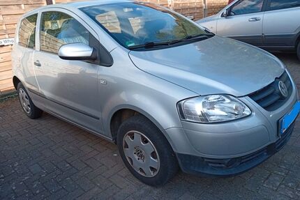 VW Fox