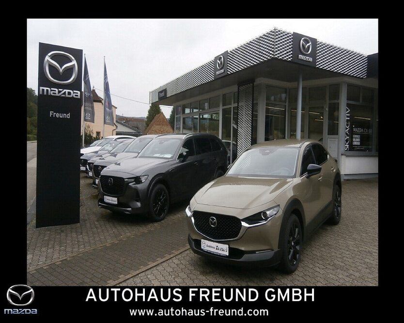 Mazda CX-30 20.345 km 26.790 € Fischbach bei Dahn 66996