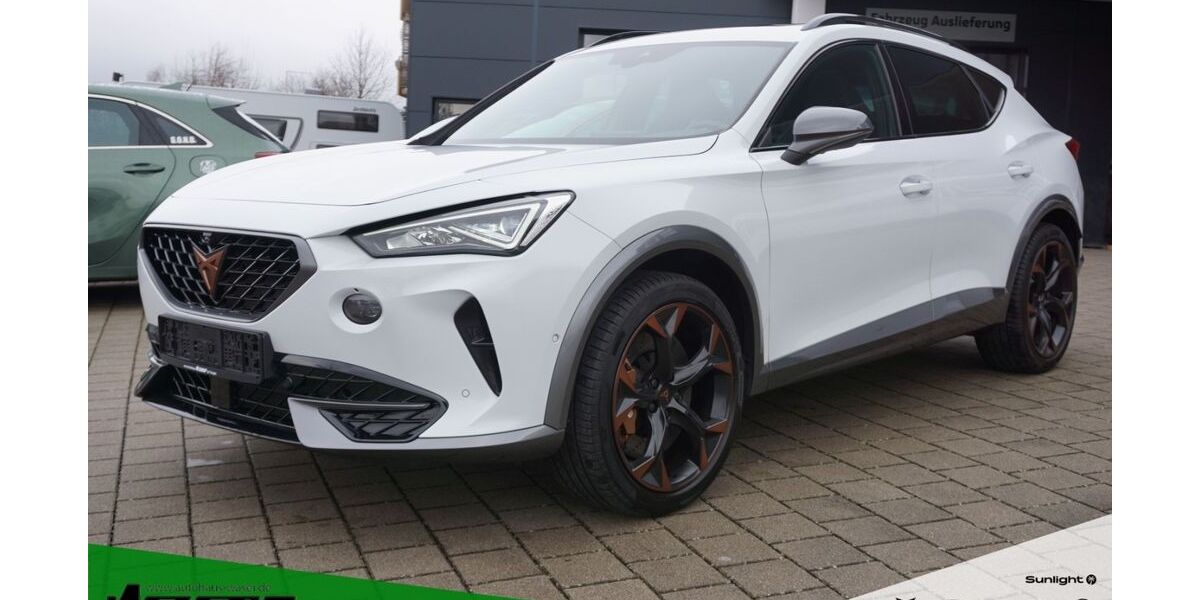 Cupra Formentor 75.500 km 29.980 &euro; Waldshut-Tiengen 79761