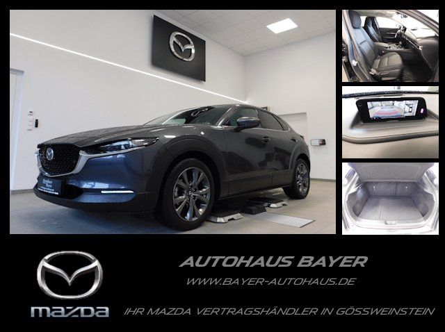 CX-30