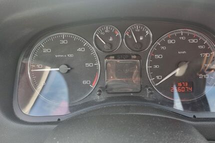 Peugeot 307 256.000 km 1.000 &euro; Elmshorn 25335