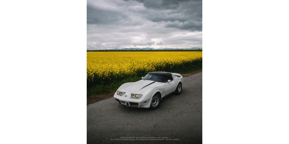 Corvette C3 34.000 km 24.500 &euro; Löffingen 79843