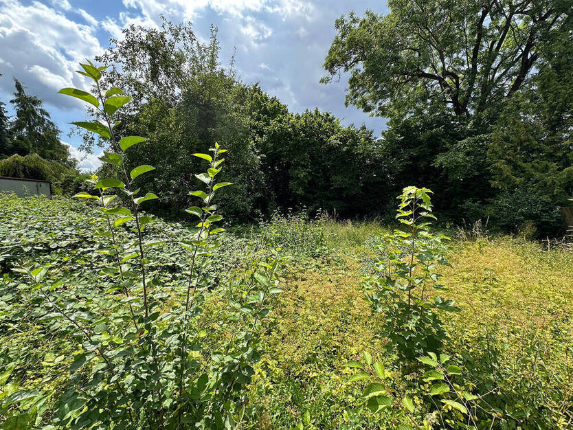 Sonniges Grundstück in Lechhausen, Flur-Nr. 1675