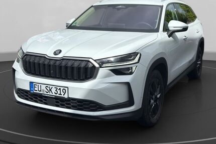Skoda Kodiaq 18.350 km 40.490 &euro; Euskirchen 53879