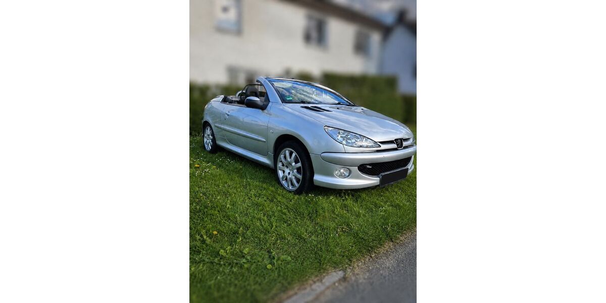 Peugeot 206 81.300 km 2.950 &euro; Sundern 59846