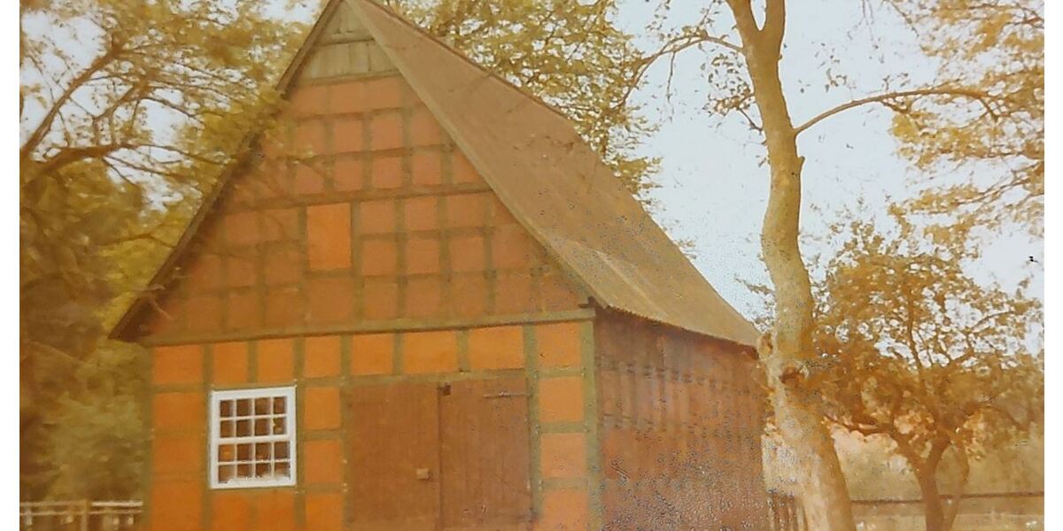 Historischer Niedersachsen- Bauernhof in Fachwerk mit Pferdeboxen u. tollen Eichenbaumbestand - Gewerbeobjekt Diepenau | Angebot:26302225