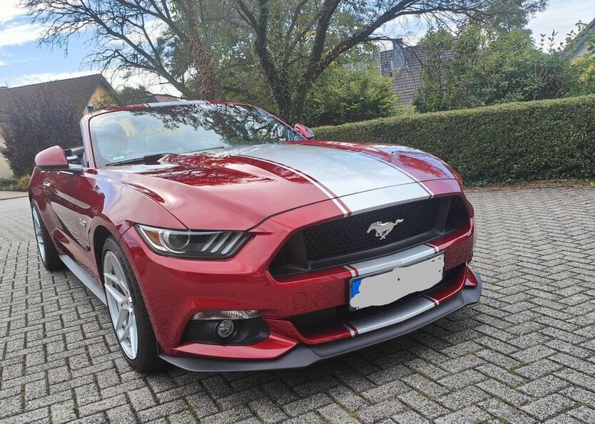 Mustang
