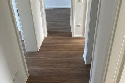 Renoviert 3-Zimmer-Wohnung mit neuer Einbauküche in Uni Nähe ab zimmer