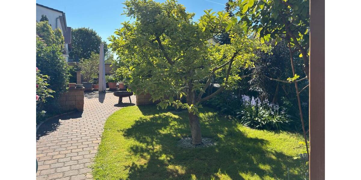 Einfamilienhaus Riedstadt - 8 Zimmer, 293 m&sup2;, 699.000&euro; | Angebot:26068933