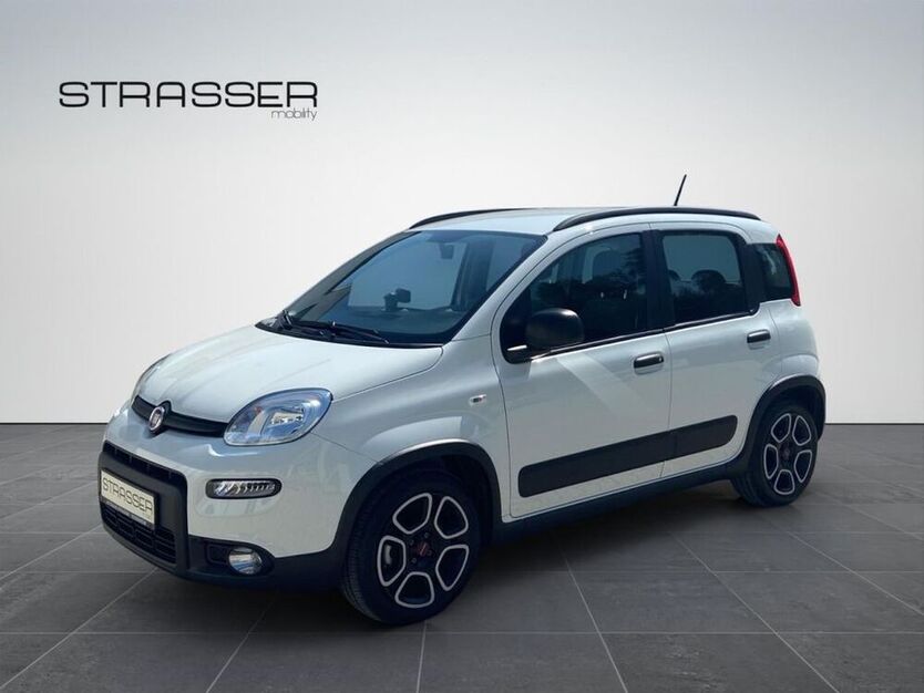 Panda