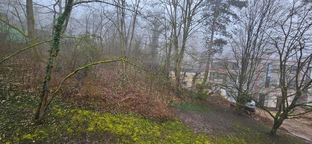 Etagenwohnung Wiesbaden Dotzheim - 3 Zimmer, 67 m&sup2;, 790&euro; | Angebot:25970830