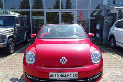 VW Beetle