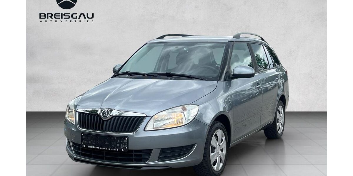 Skoda Fabia 115.061 km 5.990 &euro; Emmendingen 79312