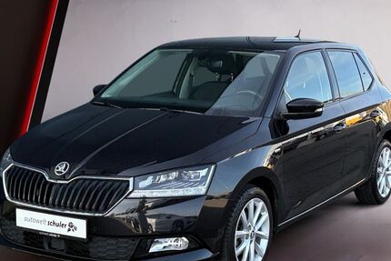Skoda Fabia 33.950 km 14.949 &euro; Donaueschingen 78166