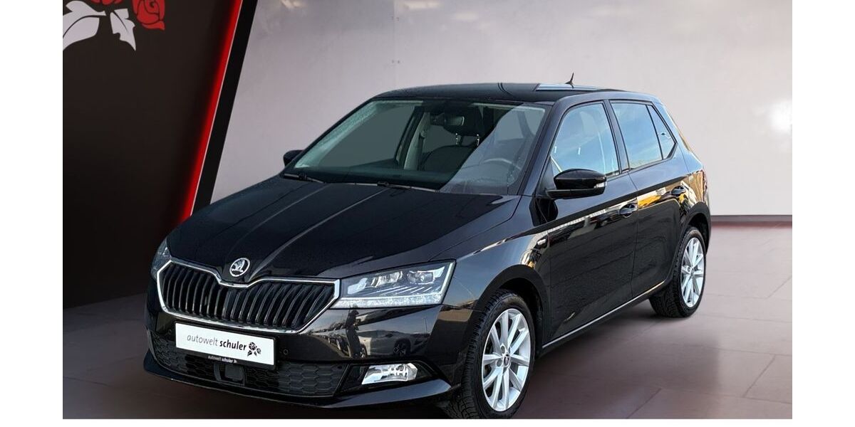 Skoda Fabia 33.950 km 14.949 &euro; Donaueschingen 78166