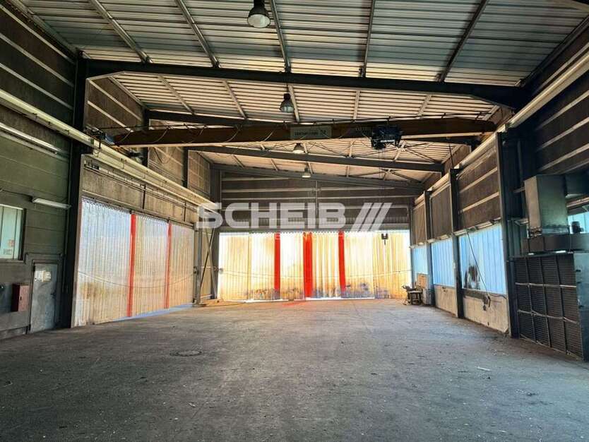 Halle in Hardthausen am Kocher 1.844,90 € 434 m²
