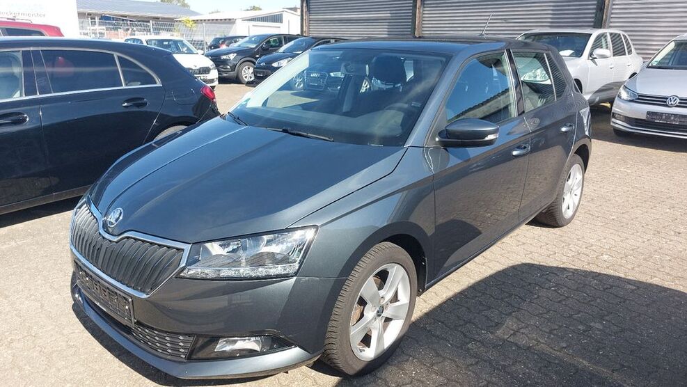 Skoda Fabia 29.000 km 11.450 € Eggenstein-Leopoldshafen 76344