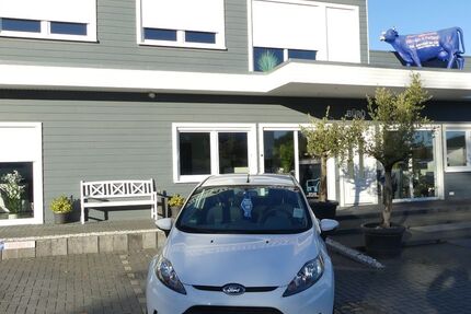 Ford Fiesta 134.000 km 5.000 &euro; Magdeburg 39108