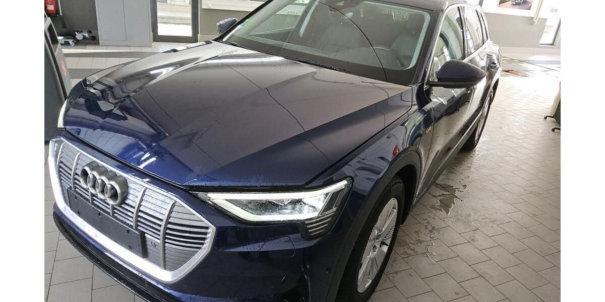 Audi e-tron 38.891 km 37.575 &euro; Hagen 58091