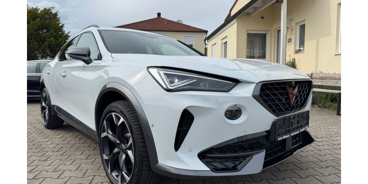 Cupra Formentor 18.064 km 27.990 &euro; Ichenhausen 89335