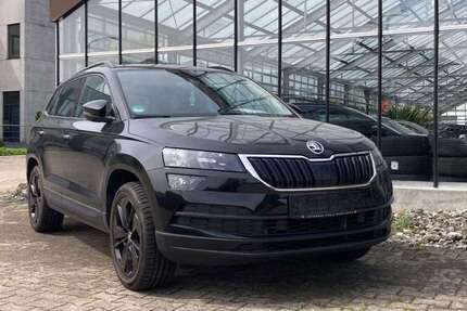 Skoda Karoq 127.600 km 17.580 &euro; Neu-Ulm 89231