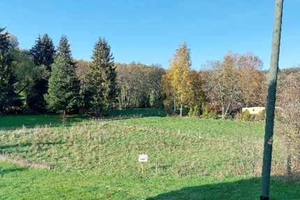 Grundstück Sienhachenbach - 37.000&euro; | Angebot:9271305