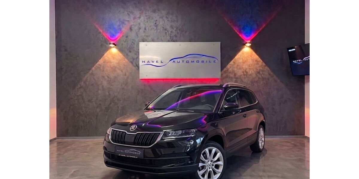 Skoda Karoq 120.005 km 19.999 &euro; Rathenow 14712
