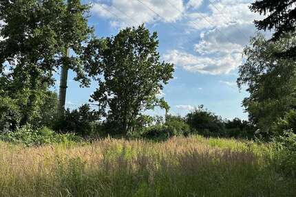 Grundstück zu verkaufen in Blankenfelde-Mahlow 230.000 € 1464 m² zimmer